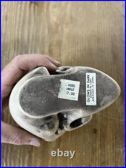 2 Vtg Walt Disney Skull Chalkware Decor Haunted Mansion Pirates Glows In Dark