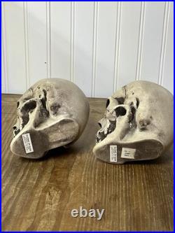 2 Vtg Walt Disney Skull Chalkware Decor Haunted Mansion Pirates Glows In Dark