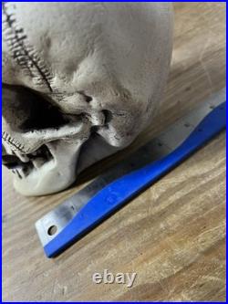 2 Vtg Walt Disney Skull Chalkware Decor Haunted Mansion Pirates Glows In Dark