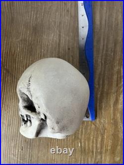 2 Vtg Walt Disney Skull Chalkware Decor Haunted Mansion Pirates Glows In Dark