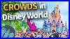 50 Ways To Avoid The Crowds In Disney World