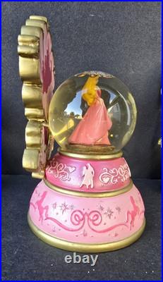 Authentic Original Disney Theme Parks Disney Princess Snow Gobes 5 Pcs