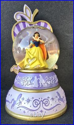 Authentic Original Disney Theme Parks Disney Princess Snow Gobes 5 Pcs