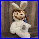 Disney Hidden Mickey Bear Pre-Duffy Easter 2003 Bunny Bear Tags RARE Theme Park