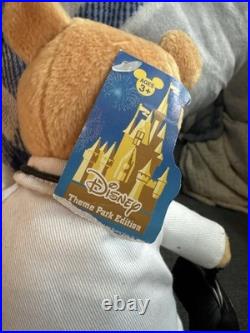 Disney Theme Park Edition Winnie The Pooh DR DOCTOR Bee Plush 8 RARE NWT HTF