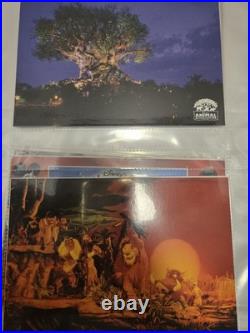 Disney Vtg Huge Lot Of 120+ Postcards Disneyland World Magic Kingdom Mgm Epcot Disney Vtg Huge Lot Of 120+ Postcards Disneyland World Magic Kingdom Mgm Epcot