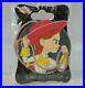Disney WDI LE 250 Pin Heroines Profile Pixar Toy Story Jessie Yodeling Cowgirl
