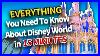 Everything You Need To Know About Disney World In 15 Minutes