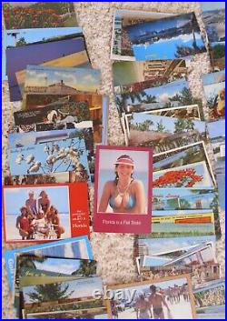 HUGE Large LOT of 304 Vintage FLORIDA POSTCARDS Lots of Variety RPPC Photos