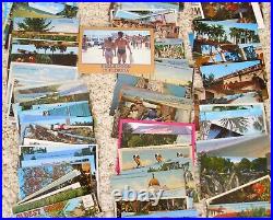 HUGE Large LOT of 304 Vintage FLORIDA POSTCARDS Lots of Variety RPPC Photos