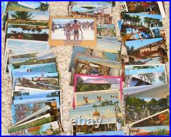 HUGE Large LOT of 304 Vintage FLORIDA POSTCARDS Lots of Variety RPPC Photos