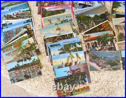 HUGE Large LOT of 304 Vintage FLORIDA POSTCARDS Lots of Variety RPPC Photos