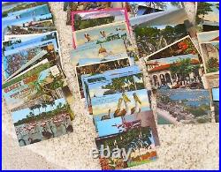 HUGE Large LOT of 304 Vintage FLORIDA POSTCARDS Lots of Variety RPPC Photos