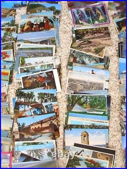 HUGE Large LOT of 304 Vintage FLORIDA POSTCARDS Lots of Variety RPPC Photos