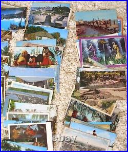 HUGE Large LOT of 304 Vintage FLORIDA POSTCARDS Lots of Variety RPPC Photos