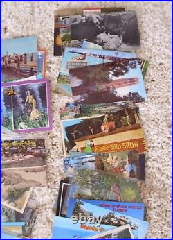 HUGE Large LOT of 304 Vintage FLORIDA POSTCARDS Lots of Variety RPPC Photos