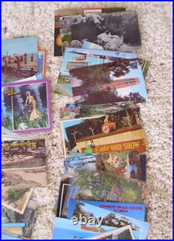 HUGE Large LOT of 304 Vintage FLORIDA POSTCARDS Lots of Variety RPPC Photos