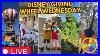 Live Disney Giving Wheel Wednesday Walt Disney World 07 30 2025