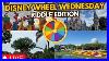 Live Disney Wheel Wednesday Riddle Me This Edition Walt Disney World 03 19 2025