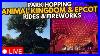 Live Disneys Animal Kingdom U0026 Epcot Walt Disney World 06 19 2025