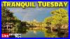 Live Tranquil Tuesday At Magic Kingdom A Relaxing Evening Walt Disney World 6 10 25