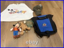 Lot Of Walt Disney World Theme Auction