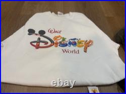 Lot Of Walt Disney World Theme Auction