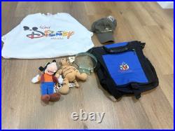 Lot Of Walt Disney World Theme Auction