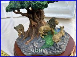 May 1998 Disney Animal Kingdom Tree Of Life New In Box Mint