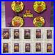 NEW Set of 14 Walt Disney Parks 2024 Halloween Pins Minnie Mickey Pass DVC House
