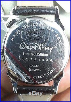 New Walt Disney Theme Parks And Resort Limited Edition Watch