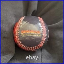 Official Disney Theme Park Souvenir Baseball Master Lot 7 Collectible Balls