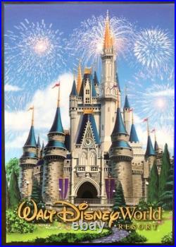 Rare? Disney MagicBand 2018 Walt Disney World Resort Theme Park Souvenir