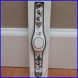 Set of 6 Magic Bands, Magic Kingdom Theme, Limited Release, See Details
