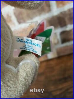 TOKYO Disney Resort GingerBread Donald & Daisy Pair Set 2 Plush Doll (H 11.81)
