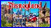 Top 10 Disneyland Rides Virtual Park Hopping With Disney Ride Povs