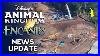 Tropical Americas News Update Construction Permits And Rumors