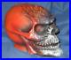 UNIVERSAL STUDIOS Orlando Theme Park PropHalloween Horror Nights Skull from RIP