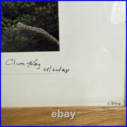 Walt Disney World Animal Kingdom Theme Park Opening Day Artist Signed Print