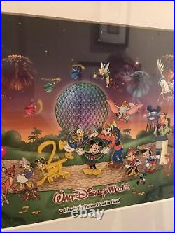 Walt Disney World Framed Millennium 2000 Limited Edition Pin Set 380/1500