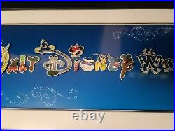 Walt Disney World Park Attractions Character Letter Framed 15 Pin Set VERY RARE