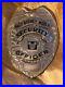 Walt Disney World Security Officer Badge never issued