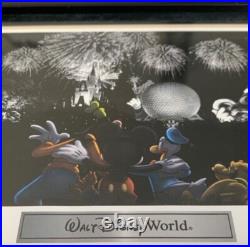 Walt Disney World Theme Park Icons Fab 5 Lithograph with 4 Coin Framed Set NIB