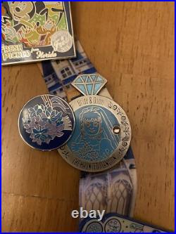 Walt Disney World Theme Park Pins With Lanyard