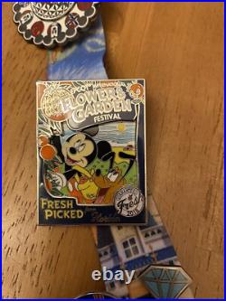 Walt Disney World Theme Park Pins With Lanyard