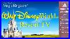Wdw Today Channel Resort Tv Walt Disney World 24 7 Live Stream