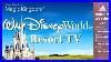Wdw Today Channel Resort Tv Walt Disney World Disney 24 7 Live Stream